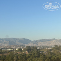 фото из отзыва ID 2729465