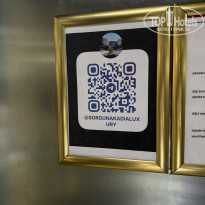 фото из отзыва ID 2729465