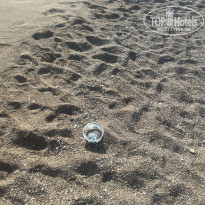 фото из отзыва ID 2729465