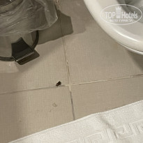 фото из отзыва ID 2728002