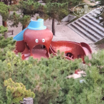 фото из отзыва ID 2729477