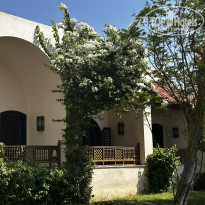 фото из отзыва ID 2729486