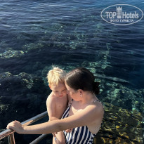 фото из отзыва ID 2729486