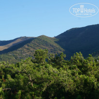 фото из отзыва ID 2722824