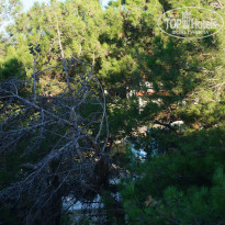 фото из отзыва ID 2722824