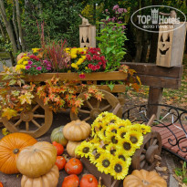 фото из отзыва ID 2729527