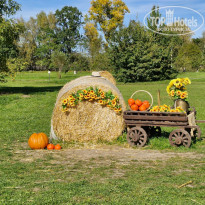 фото из отзыва ID 2729527