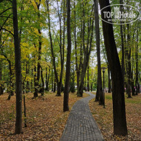 фото из отзыва ID 2729527