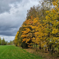 фото из отзыва ID 2729527