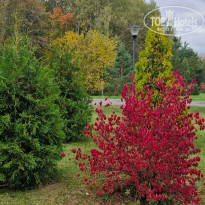 фото из отзыва ID 2729527