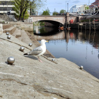 фото из отзыва ID 2727530