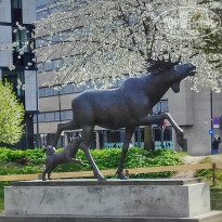 фото из отзыва ID 2727530