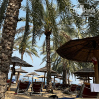 фото из отзыва ID 2729529