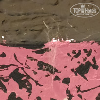 фото из отзыва ID 2729551