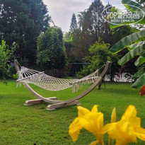 фото из отзыва ID 2729568