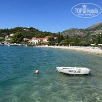 фото из отзыва ID 2729576