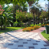 фото из отзыва ID 2729568