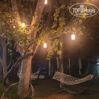 фото из отзыва ID 2729568