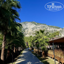 фото из отзыва ID 2729583