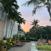 фото из отзыва ID 2729582