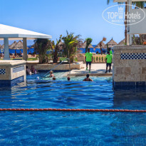 фото из отзыва ID 2729218