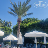 фото из отзыва ID 2729622