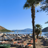 фото из отзыва ID 2729626