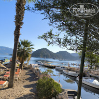 фото из отзыва ID 2729626