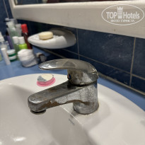 фото из отзыва ID 2728085