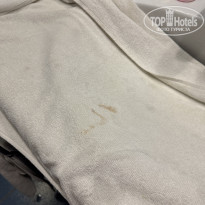 фото из отзыва ID 2728085