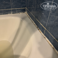 фото из отзыва ID 2728085