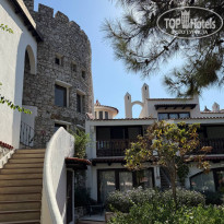 фото из отзыва ID 2729657