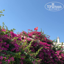 фото из отзыва ID 2729657