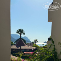 фото из отзыва ID 2729657