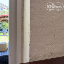 фото из отзыва ID 2728085