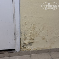 фото из отзыва ID 2728085