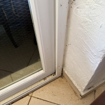 фото из отзыва ID 2728085