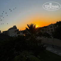 фото из отзыва ID 2729668