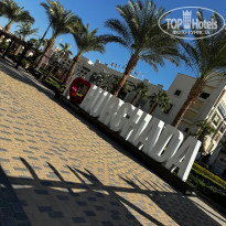 фото из отзыва ID 2729668