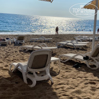 фото из отзыва ID 2729666