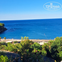 фото из отзыва ID 2729678