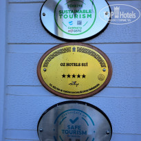 фото из отзыва ID 2729678