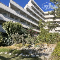 фото из отзыва ID 2729694