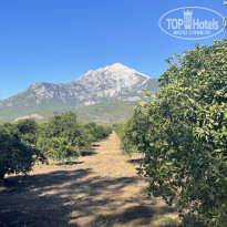 фото из отзыва ID 2729694