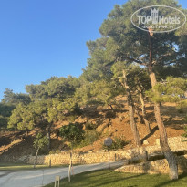 фото из отзыва ID 2729694