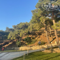 фото из отзыва ID 2729694