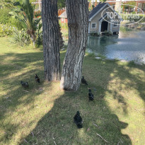 фото из отзыва ID 2729694