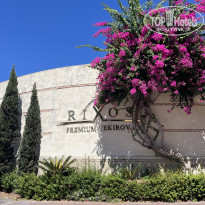 фото из отзыва ID 2729694