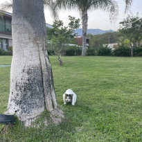 фото из отзыва ID 2729694