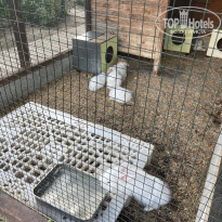 фото из отзыва ID 2729694